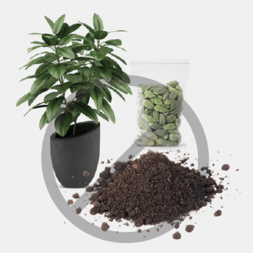 Plants, Seeds, and Soil
